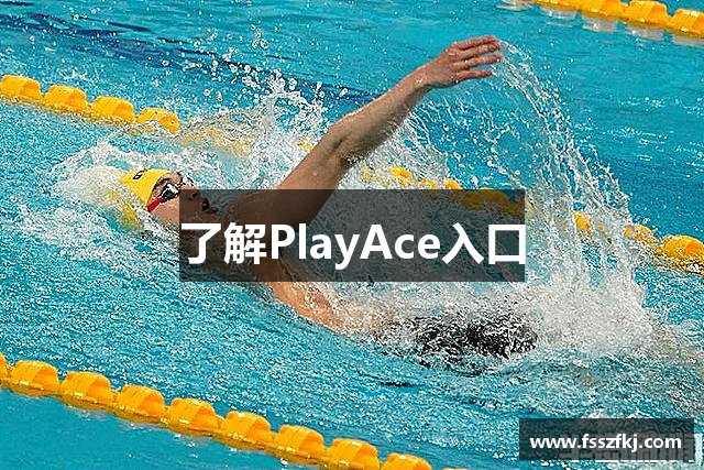 了解PlayAce入口